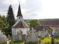 RO, Sibiu, Porumbacu de Jos, Sarata 4, Saxifraga-Tom Heijnen