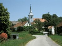 SLO, Dolensjka, Trebnje, Zubina 3, Saxifraga-Jan van der Straaten