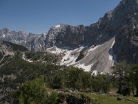 SLO, Gorenjska, Kranjska Gora 13, Saxifraga-Luuk Vermeer