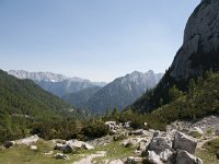 SLO, Gorenjska, Kranjska Gora 20, Saxifraga-Luuk Vermeer