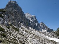 SLO, Gorenjska, Kranjska Gora 4, Saxifraga-Luuk Vermeer