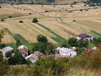 SLO, Obalnokraska, Divaca, Skoflje 4, Saxifraga-Hans Dekker