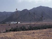 E, Almeria, Nijar, Cabo de Gata 112, Saxifraga-Jan van der Straten