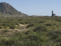 E, Almeria, Nijar, Cabo de Gata 20, Saxifraga-Jan van der Straaten