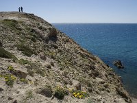 E, Almeria, Nijar, Cabo de Gata 37, Saxifraga-Willem van Kruijsbergen