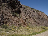 E, Almeria, Nijar, Cabo de Gata 50, Saxifraga-Willem van Kruijsbergen