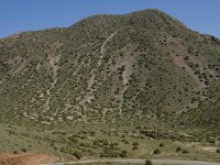 E, Almeria, Nijar, Cabo de Gata 56, Saxifraga-Willem van Kruijsbergen