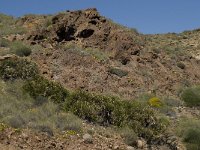 E, Almeria, Nijar, Cabo de Gata 57, Saxifraga-Willem van Kruijsbergen