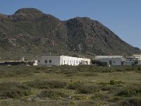 E, Almeria, Nijar, Cabo de Gata 64, Saxifraga-Willem van Kruijsbergen