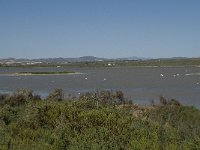 E, Almeria, Nijar, Cabo de Gata 76, las Salinas, Saxifraga-Willem van Kruijsbergen