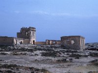 E, Almeria, Nijar, Los Escullos 2, Saxifraga-Jan van der Straaten