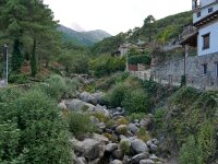 E, Avila, Guisando 10, Saxifraga-Tom Heijnen