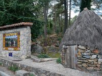 E, Avila, Guisando 11, Saxifraga-Tom Heijnen