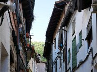 E, Avila, Guisando 13, Saxifraga-Tom Heijnen