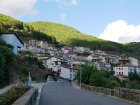 E, Avila, Guisando 17, Saxifraga-Tom Heijnen