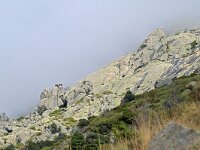 E, Avila, Guisando, Galayos valley 12, Saxifraga-Tom Heijnen