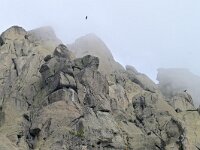 E, Avila, Guisando, Galayos valley 18, Saxifraga-Tom Heijnen