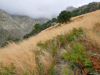 E, Avila, Guisando, Galayos valley 30, Saxifraga-Tom Heijnen