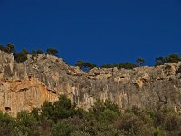 E, Baleares, Alaro 11, Saxifraga-Hans Dekker