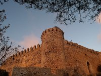 E, Baleares, Felanitx, Castell de Santueri 2, Saxifraga-Hans Dekker