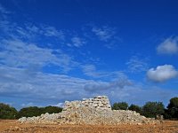 E, Baleares, Llucmajor, Capocorb Vell 4, Saxifraga-Hans Dekker