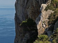 E, Baleares, Pollenca, Cap Formentor 2, Saxifraga-Hans Dekker