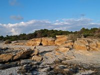 E, Baleares, Ses Salines, Colonia de Sant Jordi 6, Saxifraga-Hans Dekker