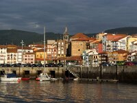 E, Bizkaje, Bermeo 1, Saxifraga-Foto Fitis-Sytske Dijksen