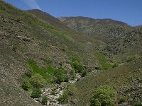 E, Caceres, Jarandilla de la Vera, Garganta de los Infiernos 2, Saxifraga-Dirk Hilbers