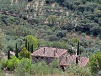 E, Caceres, Madronera 5, Saxifraga-Tom Heijnen