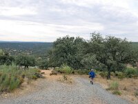 E, Caceres, Torrejon el Rubio 2, Saxifraga-Tom Heijnen