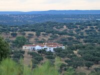 E, Caceres, Torrejon el Rubio 3, Saxifraga-Tom Heijnen