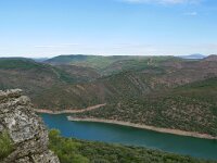 E, Caceres, Torrejon el Rubio, Rio Tajo 2, Saxifraga-Tom Heijnen