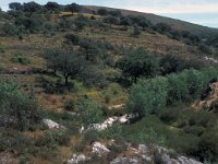 E, Caceres, Serradilla, Cerro Gimio 4, Saxifraga-Jan van der Straaten