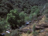 E, Caceres, Serradilla, Cerro Gimio 5, Saxifraga-Jan van der Straaten