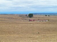 E, Caceres, Trujillo, CC-128 road to Caceres 14, Saxifraga-Tom Heijnen