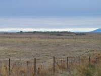 E, Caceres, Trujillo, CC-128 road to Caceres 17, Saxifraga-Tom Heijnen