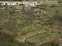 E, Cadiz, Grazalema 18, Saxifraga-Willem van Kruijsbergen