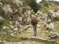 E, Cadiz, Grazalema 2, Saxifraga-Jan van der Straaten