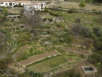 E, Cadiz, Grazalema 3, Saxifraga-Jan van der Straaten