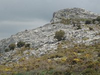 E, Cadiz, Grazalema, Salto de Cabrero 5, Saxifraga-Jan van der Straaten