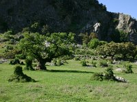 E, Cadiz, Grazalema, Sierra de Grazalema 1, Saxifraga-Dirk Hilbers