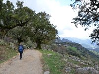 E, Cadiz, Grazalema, Sierra del Endrinal 2, Saxifraga-Tom Heijnen