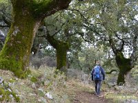 E, Cadiz, Grazalema, Sierra del Endrinal 6, Saxifraga-Tom Heijnen