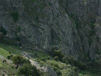 E, Cadiz, Grazalema, Sierra del Pinar 3, Saxifraga-Dirk Hilbers