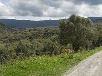 E, Cadiz, Jimena de la Frontera, Alcornocales 19, Saxifraga-Jan van der Straaten