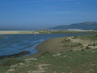 E, Cadiz, Las Lonces de Tarifa 4, Saxifraga-Jan van der Straaten