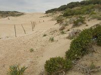 E, Cadiz, Tarifa, Bolonia 11, Saxifraga-Jan van der Straaten