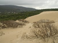 E, Cadiz, Tarifa, Bolonia, Duna de Bolonia 15, Saxifraga-Willem van Kruijsbergen