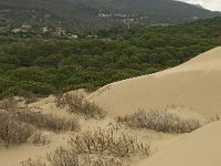 E, Cadiz, Tarifa, Bolonia, Duna de Bolonia 17, Saxifraga-Willem van Kruijsbergen